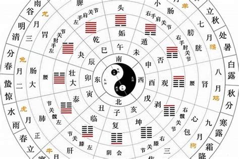 天干 地支 對照 表|十二天干地支对照表 十天干和十二地支详解